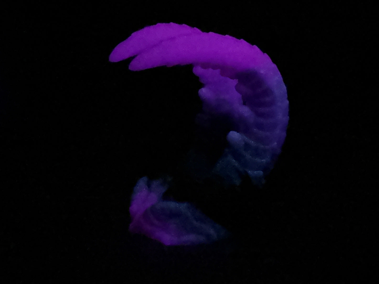 Kariss - Shrimp Insertable - Large - Soft - UV - GITD - 34008