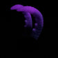 Kariss - Shrimp Insertable - Small - Soft - UV - GITD - 34007