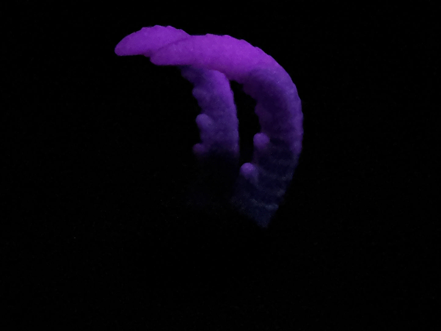 Kariss - Shrimp Insertable - Small - Soft - UV - GITD - 34007