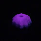 Echinus - Sucker - One Size - Soft - UV - GITD - 34005