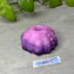Echinus - Sucker - One Size - Soft - UV - GITD - 34005
