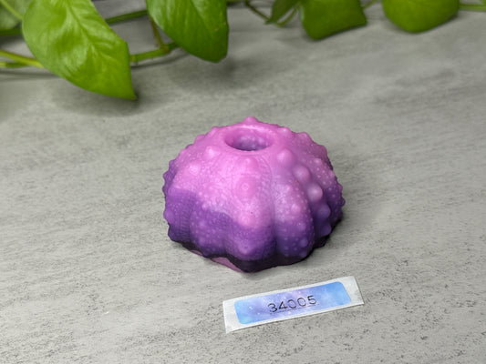 Echinus - Sucker - One Size - Soft - UV - GITD - 34005