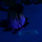 Quetzal - Penetrable Stroker - Mini - NC31 Soft - UV - GITD - 34001