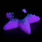 Astrid - Starfish Grinder - Large - Soft - UV - GITD - 34000