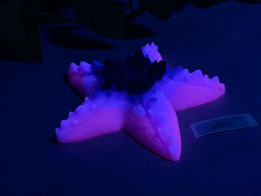 Astrid - Starfish Grinder - Large - Soft - UV - GITD - 34000