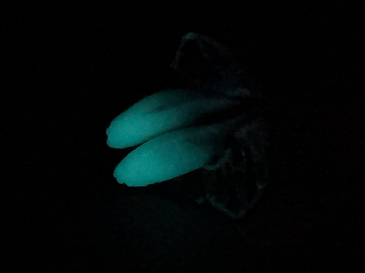Riptide - Shark FTM Packer - Packer - Soft - UV - GITD - 46008