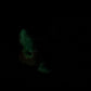 Quint - Shark Closed Back Penetrable - Vibe - Super Soft - GITD - 46002
