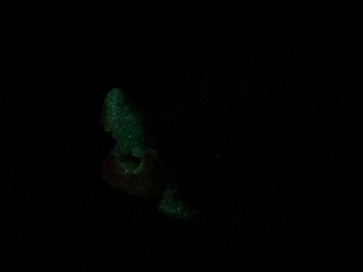 Quint - Shark Closed Back Penetrable - Vibe - Super Soft - GITD - 46002