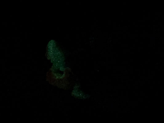 Quint - Shark Closed Back Penetrable - Vibe - Super Soft - GITD - 46002