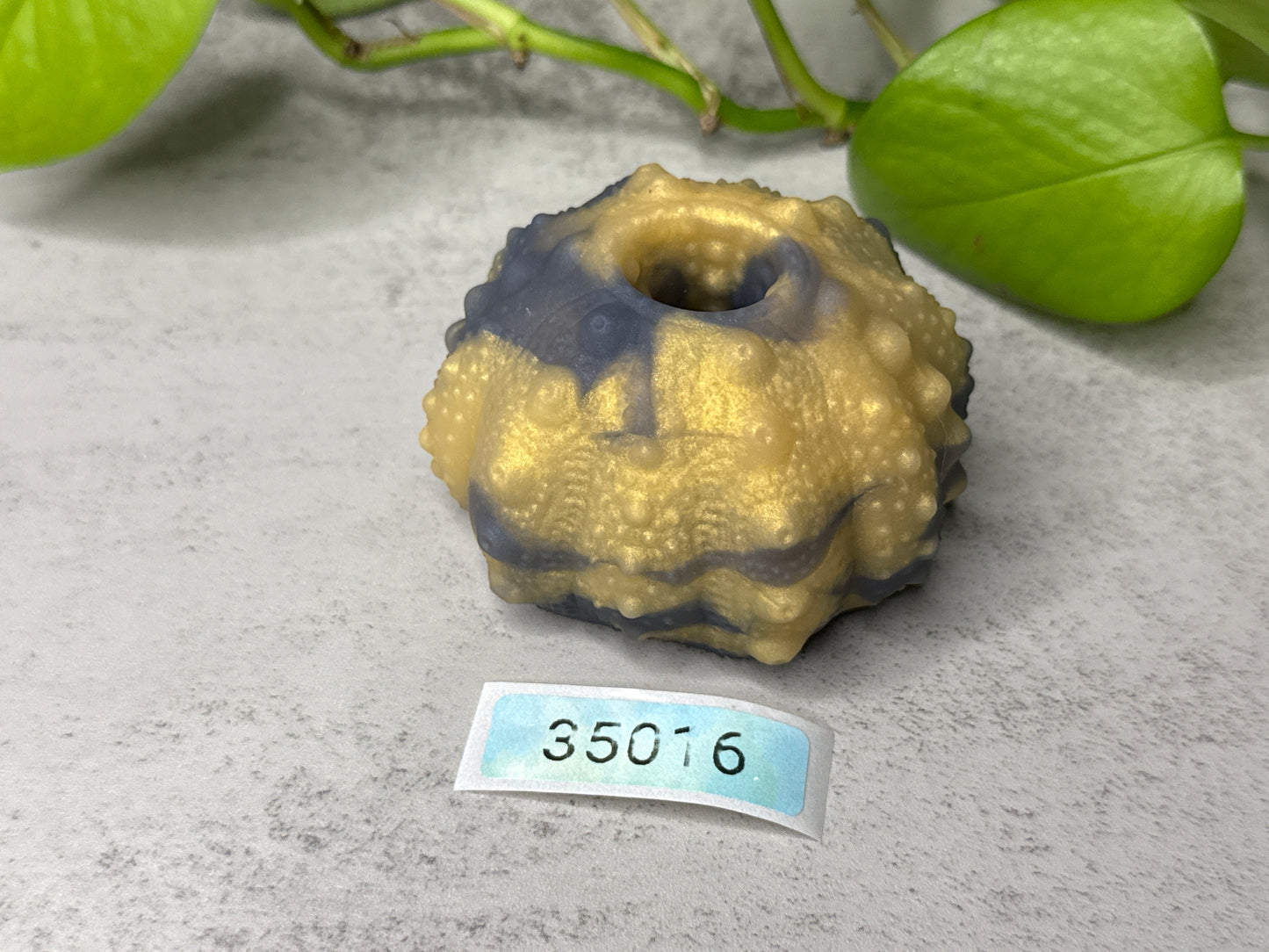 Echinus - Sucker Mini Penetrable - One Size - Soft - GITD - 35016