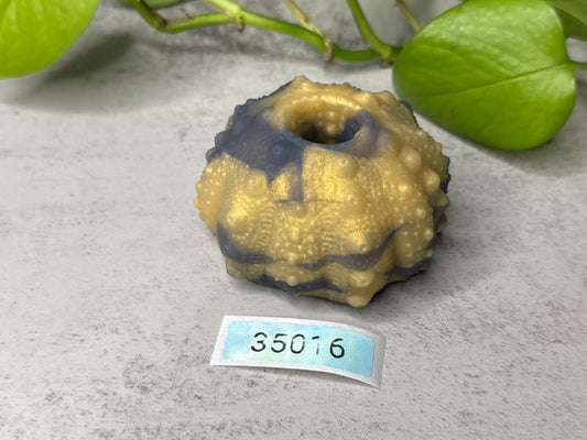 Echinus - Sucker Mini Penetrable - One Size - Soft - GITD - 35016