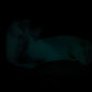 Tancho - Goldfish Insertable - Small - Soft - UV - GITD - 35002