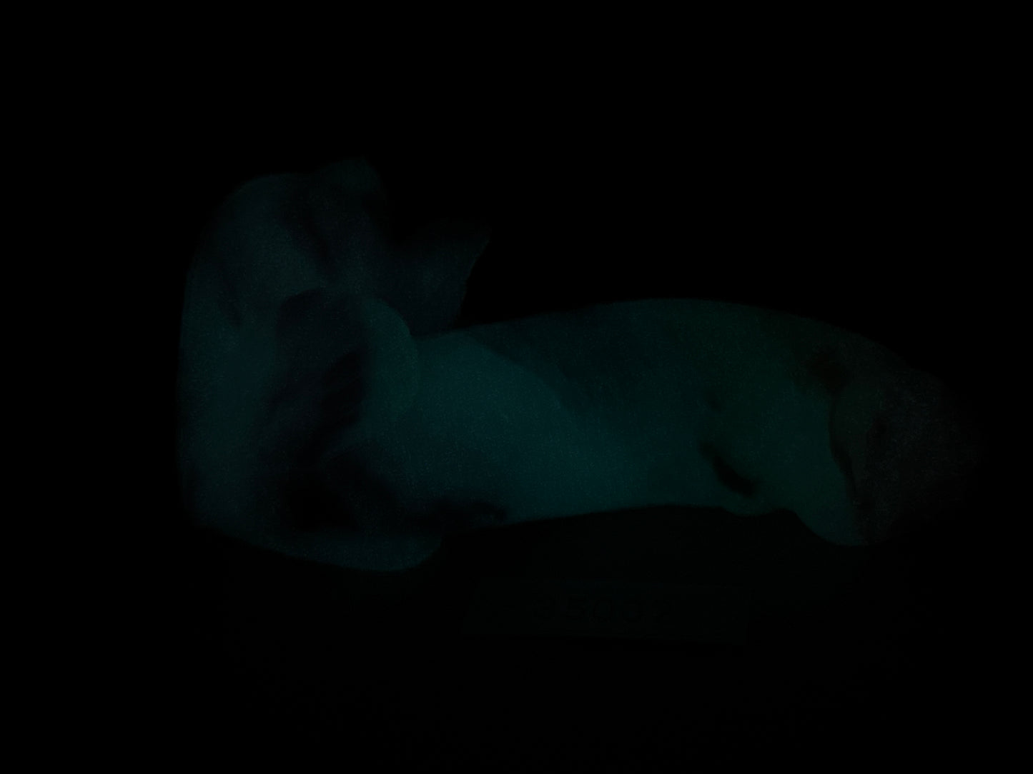 Tancho - Goldfish Insertable - Small - Soft - UV - GITD - 35002