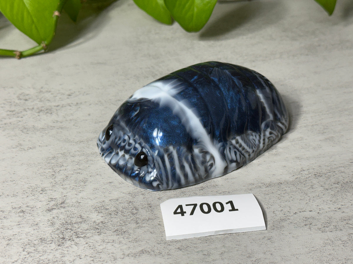Rollie - Isopod Squishy - Large - Super Soft - 47001