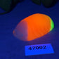 Rollie - Isopod Squishy - Medium - Super Soft - UV - GITD - 47002