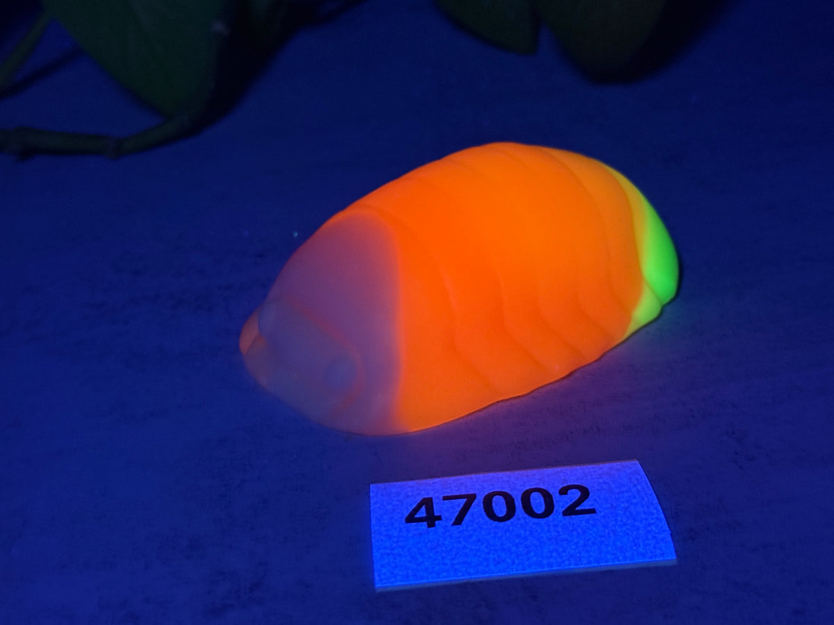 Rollie - Isopod Squishy - Medium - Super Soft - UV - GITD - 47002