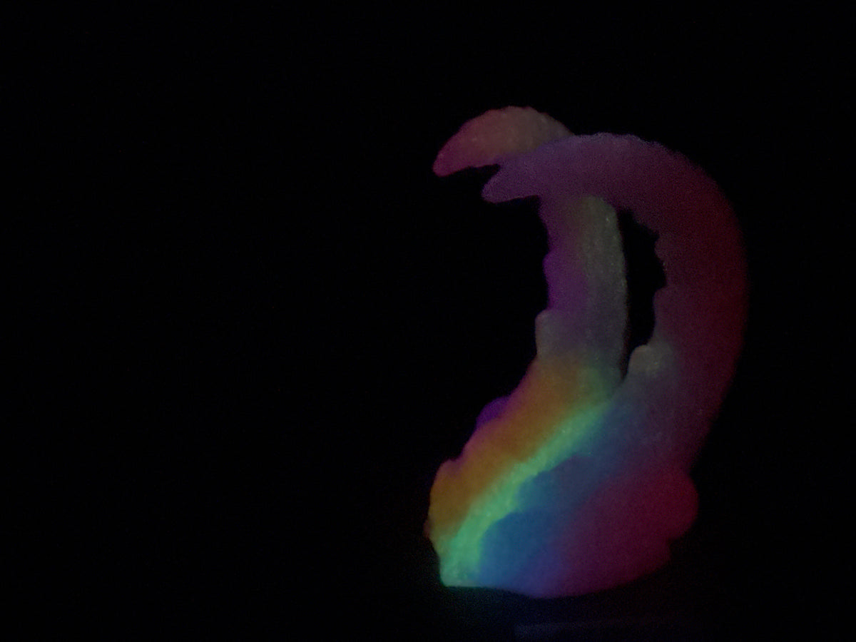 Kariss - Anomalcaris Shrimp Insertable - Small - Super Soft - UV - GITD - 47052