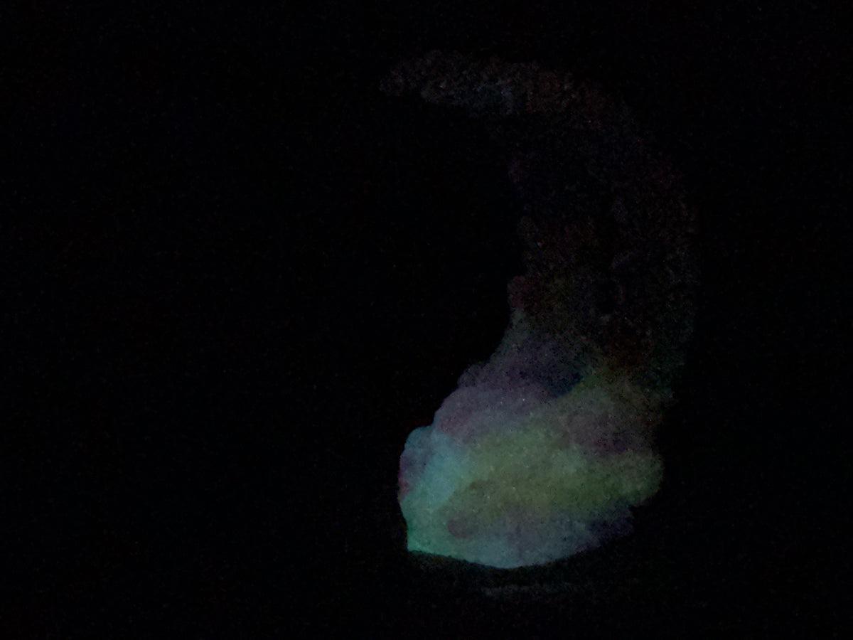 Kariss - Anomalcaris Shrimp Insertable - Small - Firm 10A - UV - GITD - 47051
