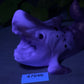 Quint - Shark Open Back Penetrable - Large - Super Soft - UV - GITD - 47046