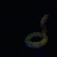 Fuchsia - Flamingo Floatie C-Ring - Small - Super Soft - UV - GITD - 47038