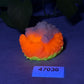 Elixir - Echidna Squishy - Large - Super Soft - UV - GITD - 47036