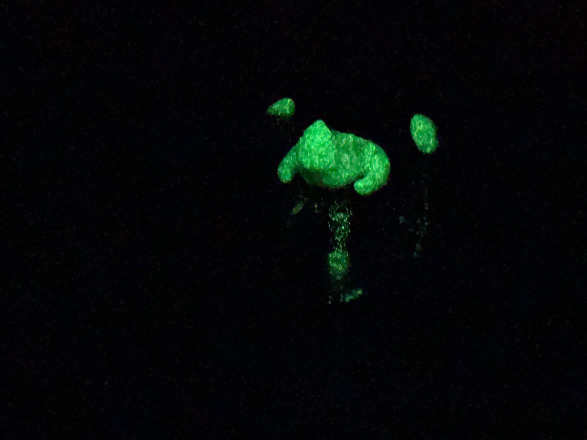 Tektonik - Dragon Squishy - Medium - Soft - UV - GITD - 47033