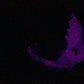Flop - Marrow - Maw Insertable - Small - Soft - UV - GITD - 47019