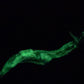 Flop - Oola Tongue - Alien Dragon Insertable Toy - Large - Soft - UV - GITD - 47010