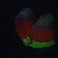 Oola Stroker - Alien Dragon Penetrable Toy - Large - Super Soft - UV - GITD - 47007