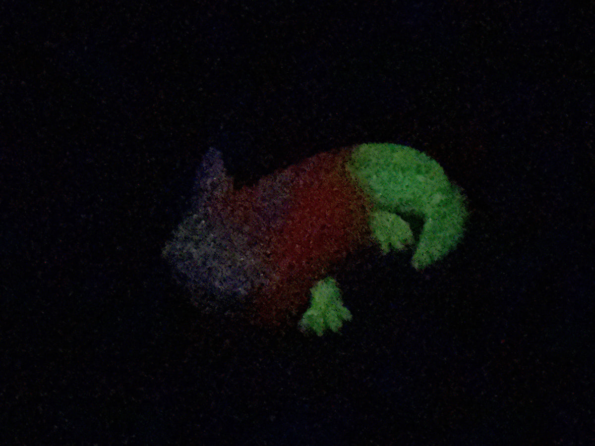 Lottie - Axolotl Squishy - Small - Super Soft - UV - GITD - 47004
