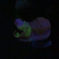 Delta - Hippo Squishy - One Size - Super Soft Split NC Soft - UV - GITD - 26031