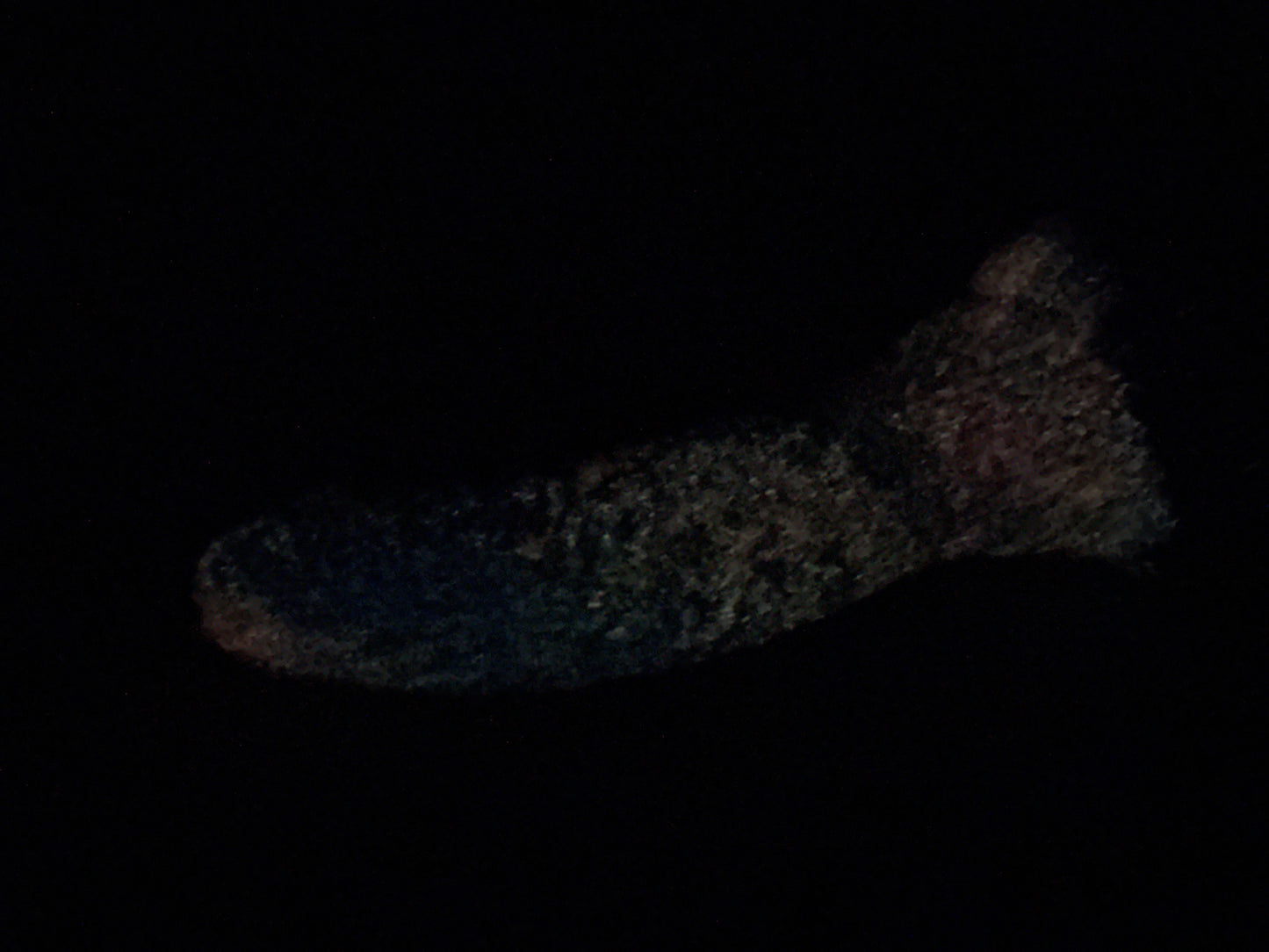 Ambrosia - Vampire Insertable - Medium - Medium - GITD - 36048