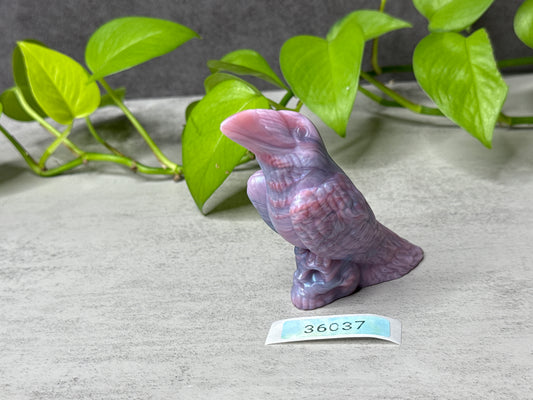 Poe - Raven Bird Squishy - One Size - Super Soft - 36037