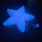 Astrid - Starfish Grinder Toy - Large - Soft - UV - GITD - 26003