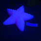 Astrid - Starfish Grinder Toy - Large - Soft - UV - GITD - 26003