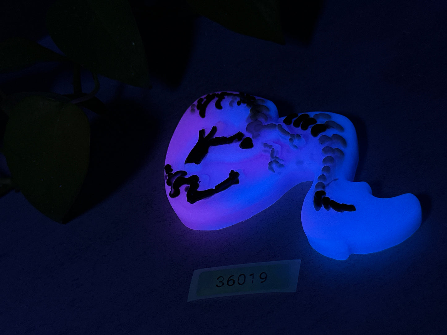 Fortune - Dragon Cookie Grinder - Small - Soft - UV - GITD - 36019