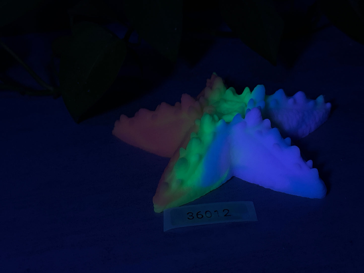 Astrid - Starfish Grinder - Large - Super Soft - 36012