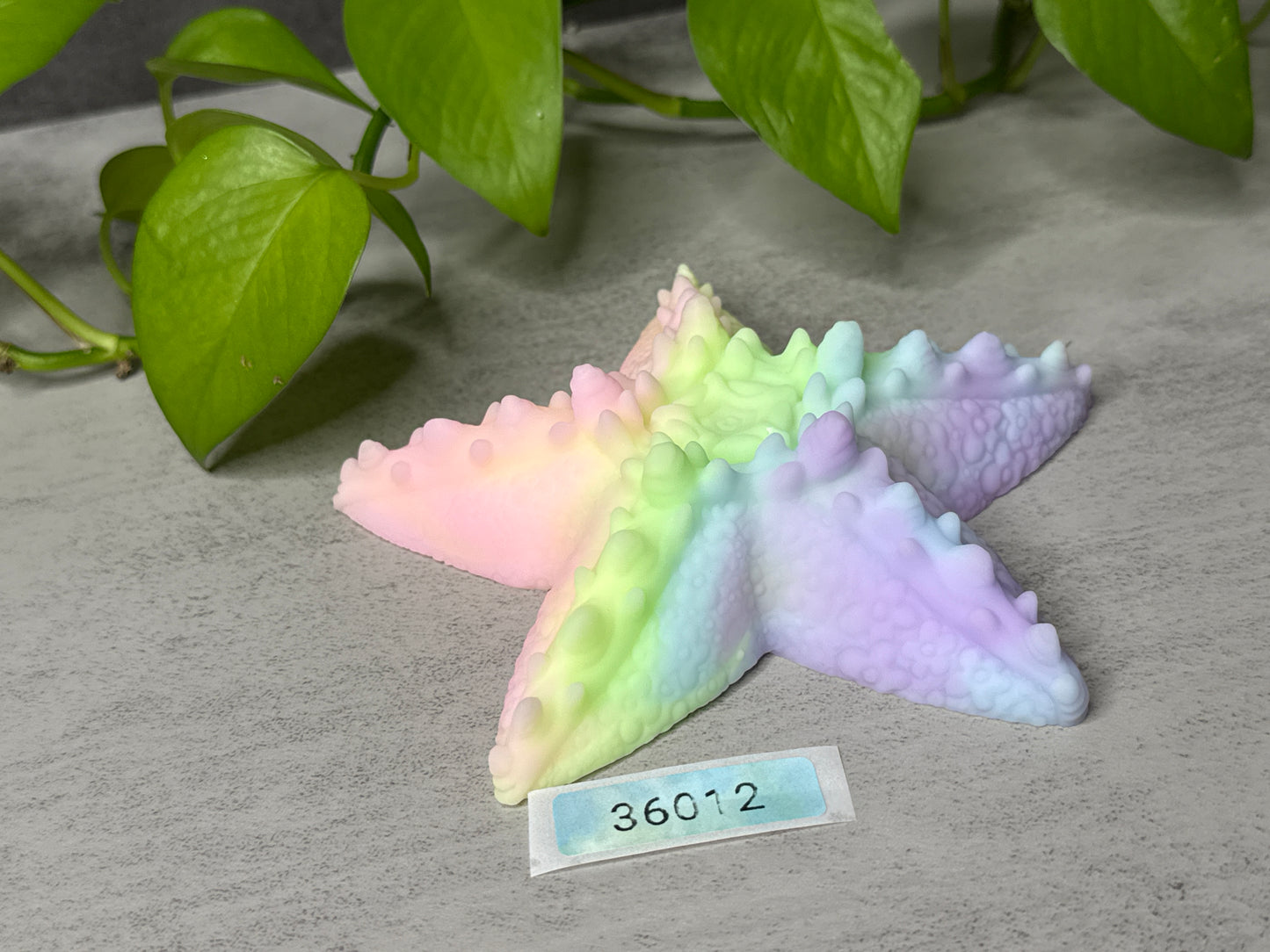 Astrid - Starfish Grinder - Large - Super Soft - 36012