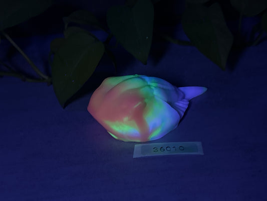 Eugene - Horseshoe Crab Squishy - Medium - Super Soft - UV - 36010