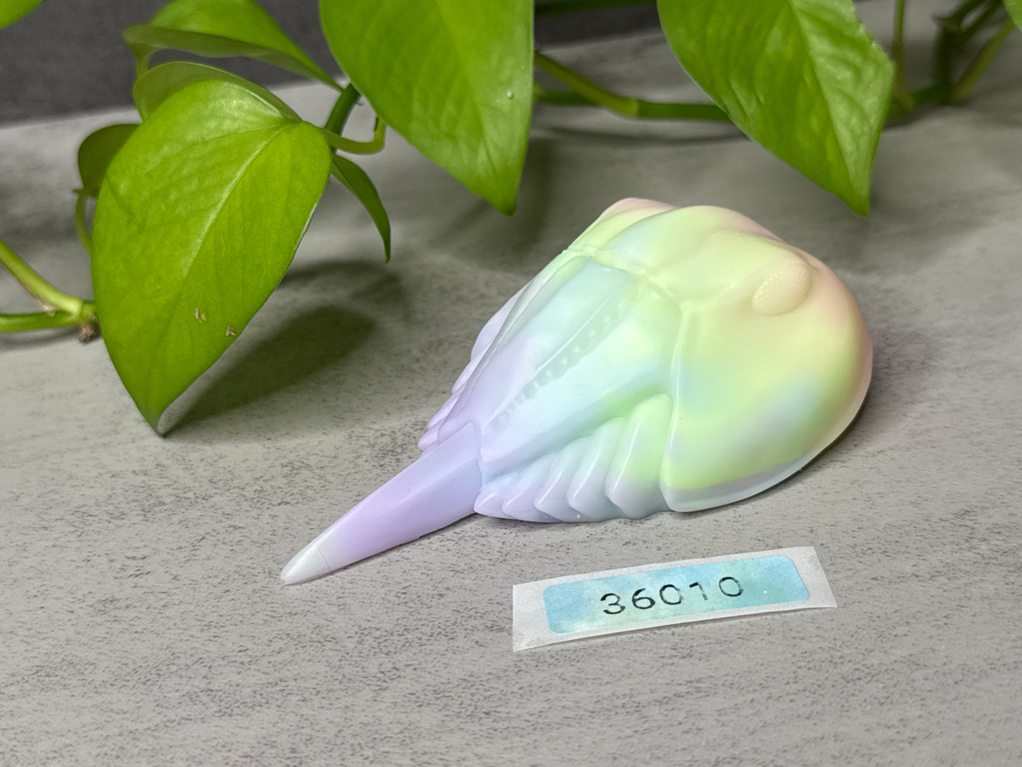 Eugene - Horseshoe Crab Squishy - Medium - Super Soft - UV - 36010