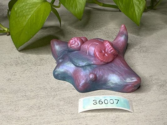 Flapjack - Pancake Squishy - Medium - Super Soft - 36007