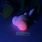 Pudge - Fish Squishy - Medium - Super Soft - UV - GITD - 36006