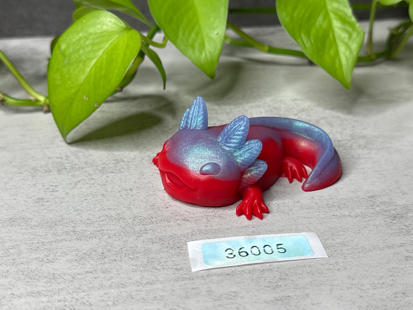 Lottie - Axolotl Squishy - Small - Medium - UV - GITD - 36005