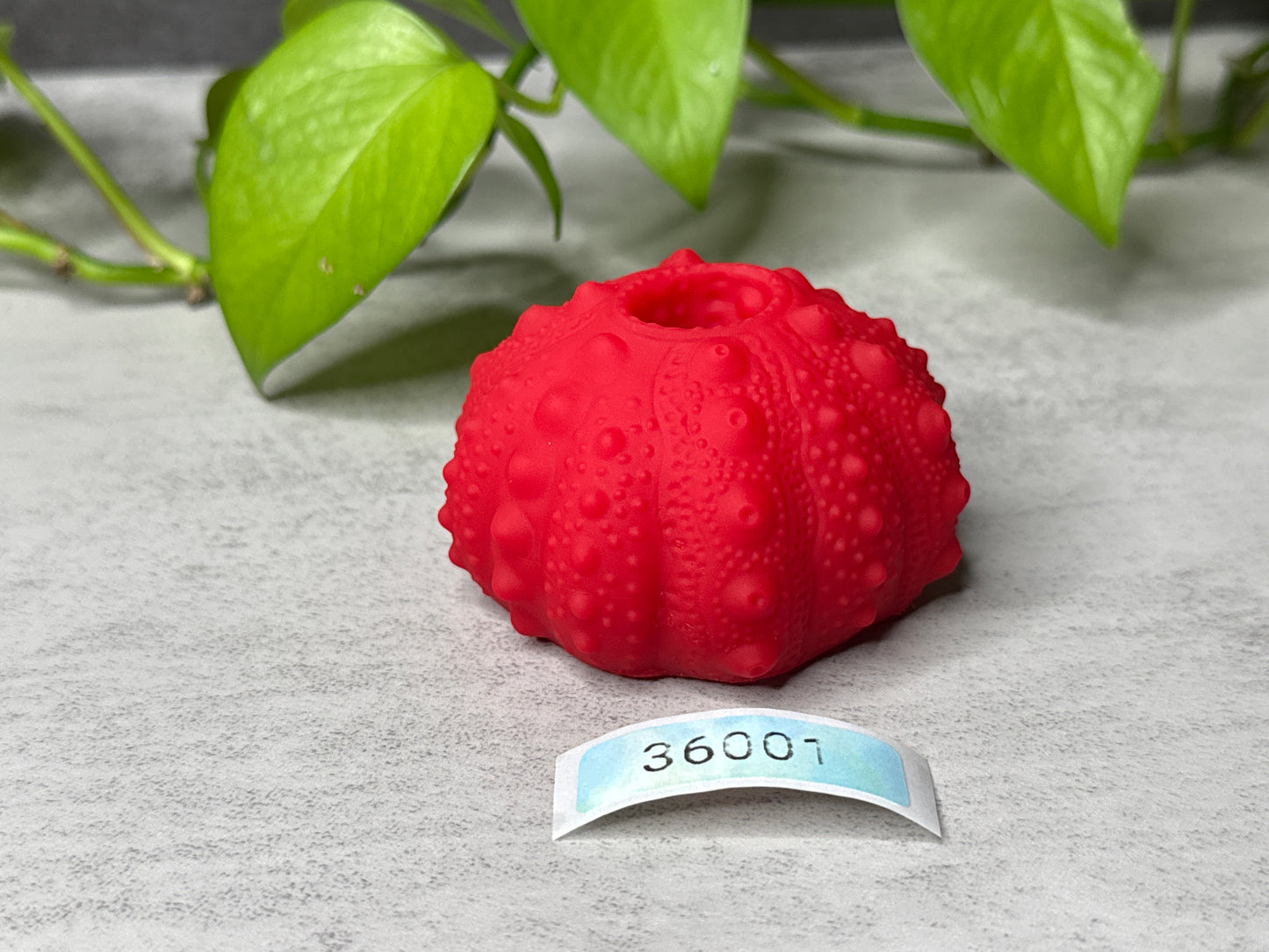 Echinus - Urchin Sucker/Mini Pen - One Size - Medium - 36001