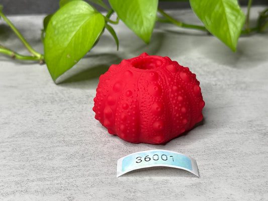 Echinus - Urchin Sucker/Mini Pen - One Size - Medium - 36001