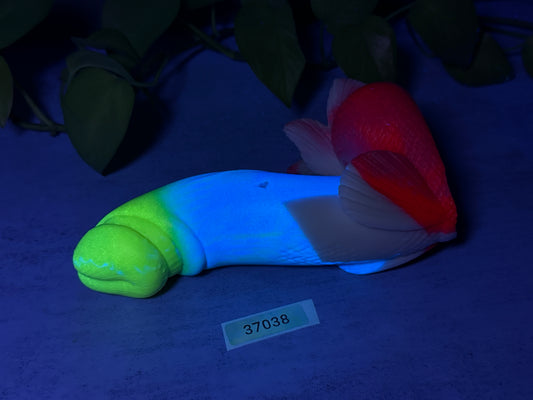 Flop - Tancho - Goldfish Insertable - Medium - Super Soft - UV - GITD - 37038