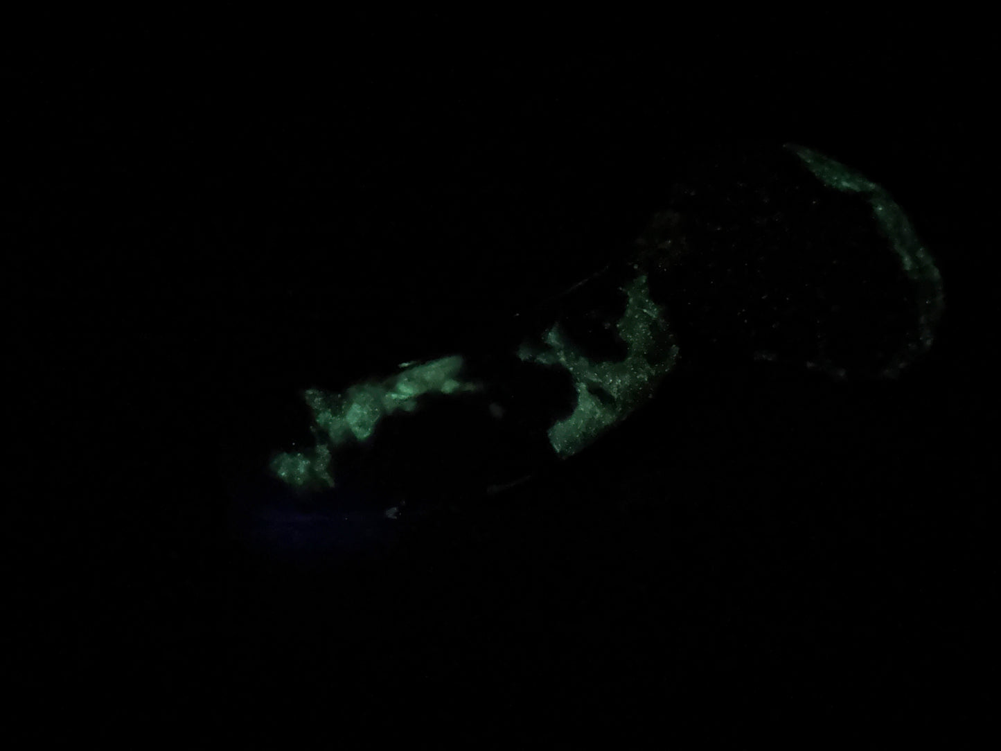 Ambrosia - Vampire Insertable - Medium - Medium - UV - GITD - 37034