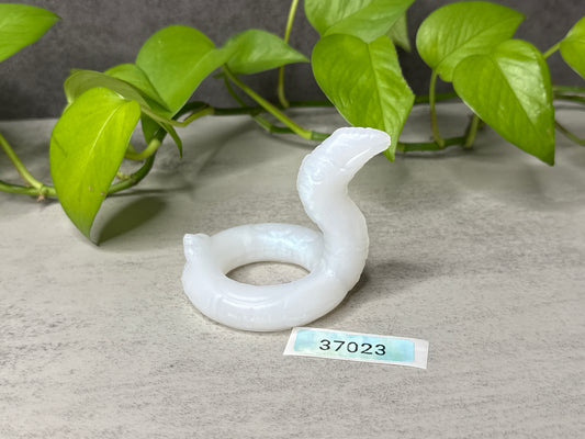 Fuchsia - Pool Floatie - C-Ring One Size - Super Soft - 37023