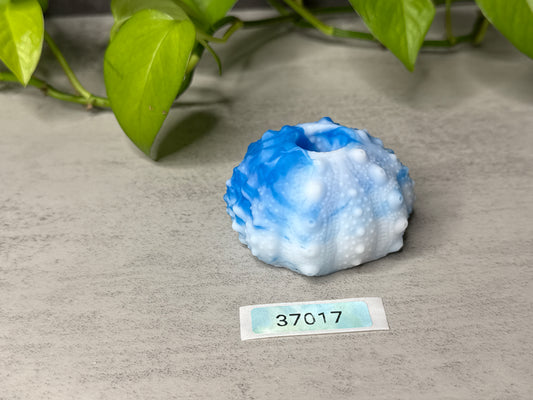 Echinus - Urchin Sucker/Mini Pen - One Size - Soft - 37017