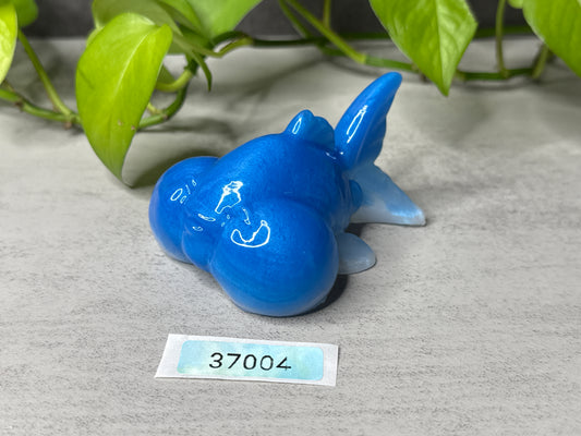 Pudge - Goldfish Squish - Medium - Super Soft - 37004